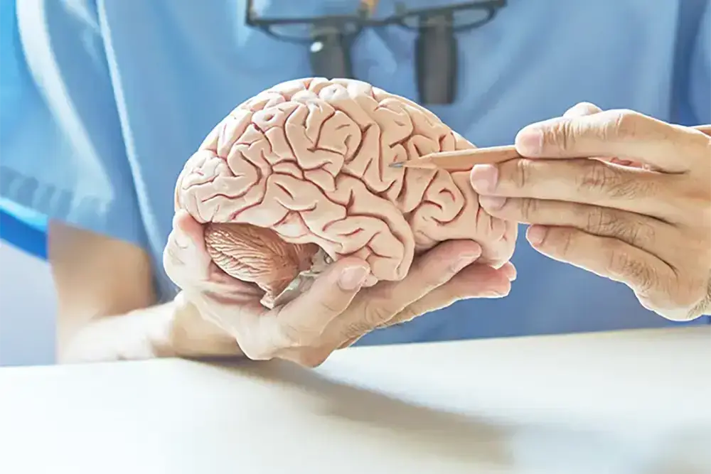 Neurologische consultatie